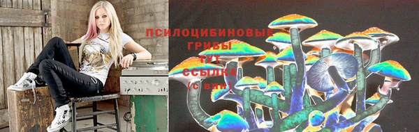 jwh Богородицк