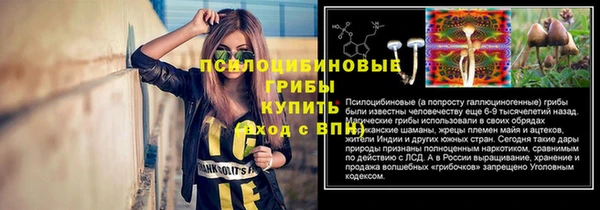 дмт Беломорск
