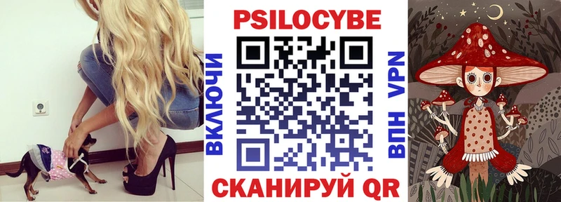 хочу   Пестово  Псилоцибиновые грибы Psilocybe 